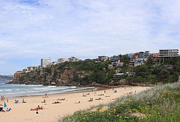 Freshwaterbeach pittwater council.jpg