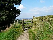 Gate to Rye Field - geograph.org.uk - 972647