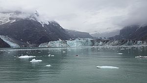 Gilman and Johns Hopkins Glaciers - Glacier Bay National Park