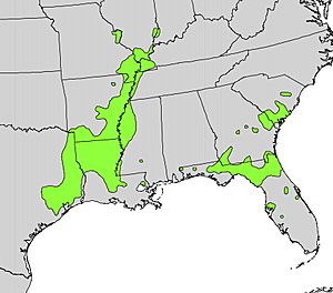 Gleditsia aquatica range map.jpg