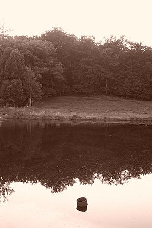 Hansbrough's Ridge in Evening