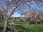 Heather Farm Park - Walnut Creek, California.jpg