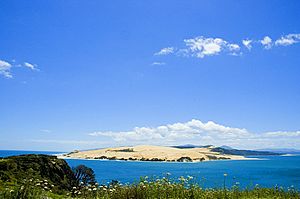 Hokianga Harbour