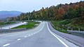 I-99 N foliage