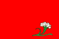 Kaissy Flag