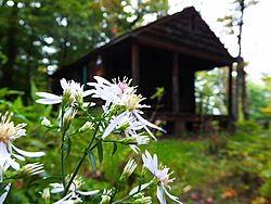 Kane Mountain Fire Lookout Station