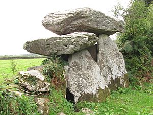 Knockeen Dolmen IMG 4715