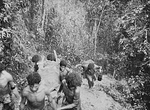 Kokoda casualties (AWM 013286)