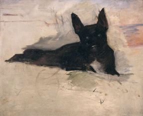 Little Dog Lying Down, French Bulldog