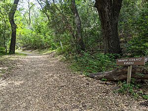 Mary Stutz Path