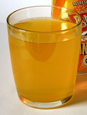 Orangeade