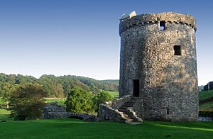 Orchardton tower september 2006.jpg