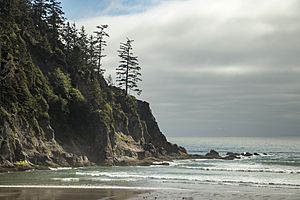 Oswald State Park Beach.jpg