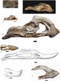 Oviraptorosaur lower jaw comparison