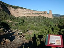 Penya-falconera