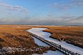 Point Pelee Boardwalk, January 2018