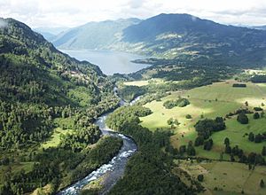 Río Llanquihue y lago Neltume.JPG