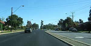 Salisbury hwy, para gardn