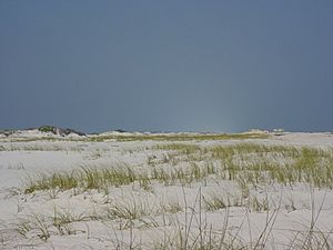 Santarosaislanddunes