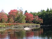 Still Brook in Fall