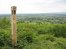 Stinchcombe Hill, near Dursley - geograph.org.uk - 449482.jpg