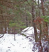 Thomas Cole Mountain summit