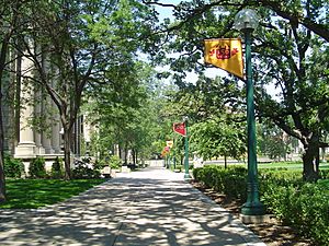 UMN Northrop Mall summer