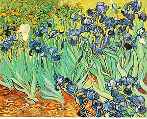 VanGogh-Irises 1