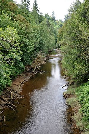 West fork millicoma river.jpg