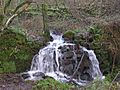 Woodland Waterfall - geograph.org.uk - 109907