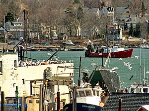 2010 Gloucester Massachusetts 4439984697