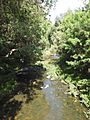 AU-Qld-Kalinga-Park-Kedron Brook downstream-2021