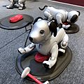 Aibo ERS-1000 - 2