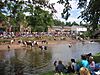 Appleby Horse Fair.jpg