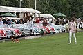 Austin Healey concourse