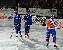 Bandy game 2.jpg