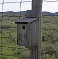 Birdhouse in Jackson Hole