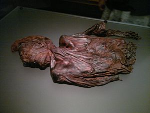 Bog-body Clonycavan-Man