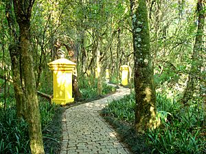 Bosque de Portugal, Curitiba