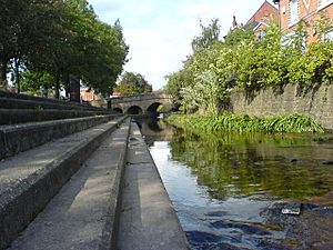 Bulwell Bogs View of Bridge to train station - geograph.org.uk - 582288