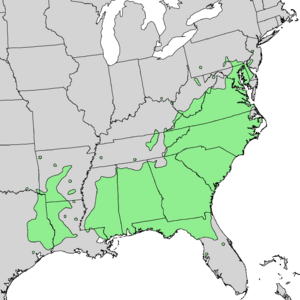 Castanea pumila range map 2.png