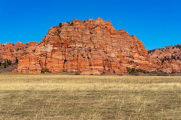 Cave Knoll, Zion National Park.jpg