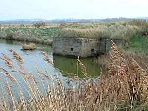 Coastal defence at Titchwell, Norfolk. - geograph.org.uk - 164972