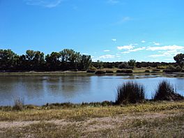 Concho Lake- Concho Valley.jpg