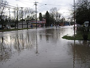 FloodingatState23rdJan192012