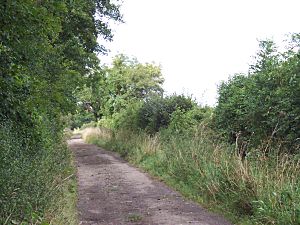 Fosse Way Wiltshire