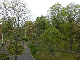 Green Scenery of Bates College