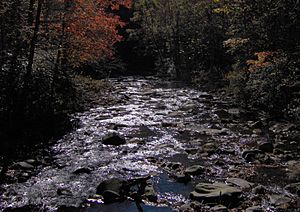 Hazel-creek-north-carolina