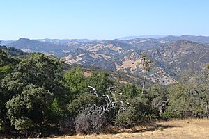 Henry W. Coe State Park