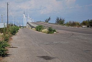 HighwayWindTurbinesLaVentosa.jpg